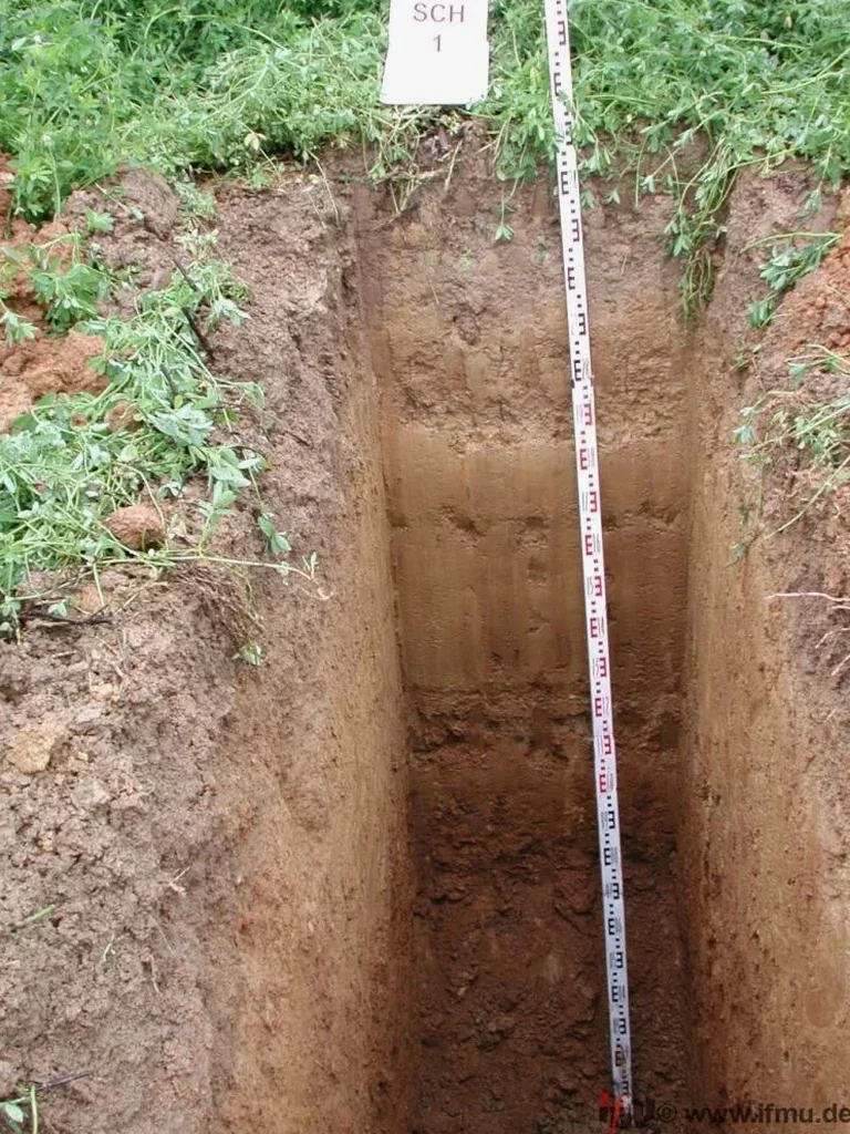 Exploratory Test Pit Services in Nanaimo